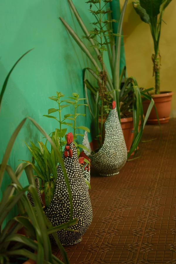 Hostal Fachente León Extérieur photo